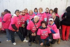 Wonderbroads 2013