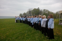 Wonderbroads 2013