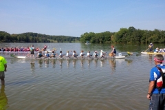 Wonderbroads 2013