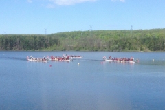 Wonderbroads 2014