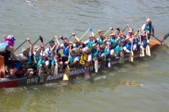 Wonderbroads 2014