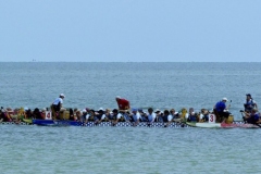 Wonderbroads 2014