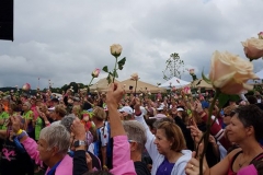 Wonderbroads 2019