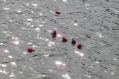 Flower Ceremony Oct 2022