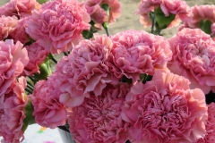 Flower Ceremony Oct 2022