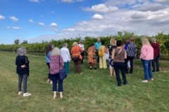 September Wine Tour