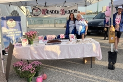 Run for the Cure