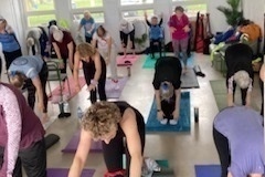 Morning Yoga