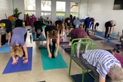 Morning Yoga