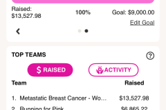 WB team at CIBC Run for the Cure - October 5
