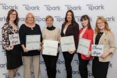 WE-Spark-Nov-2025